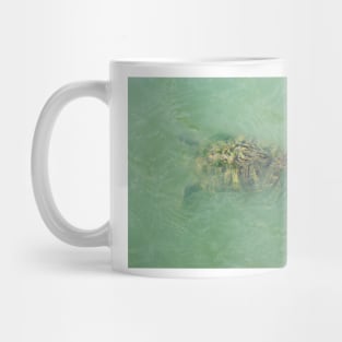 Red-Eared Slider Mug